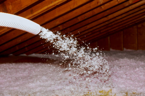 Best Insulation Contractors for Homes  in Roselawn, IN