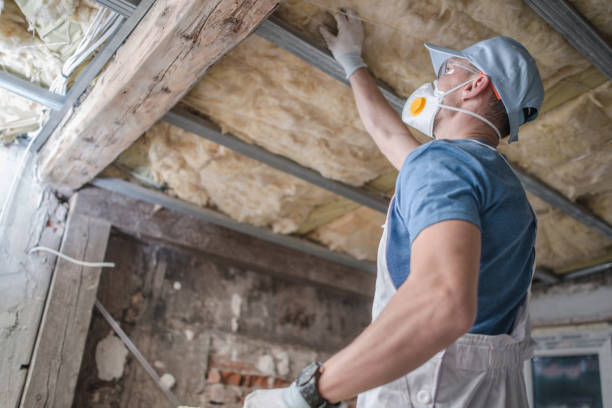Best Affordable Insulation Services  in Roselawn, IN