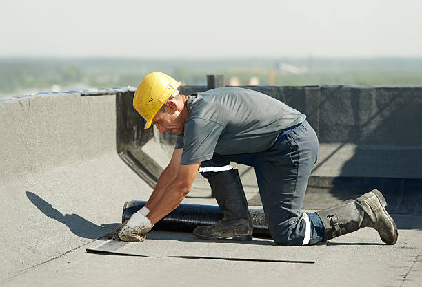Best Home Insulation Services  in Roselawn, IN